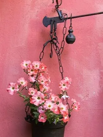 Del Borgo Bed & Breakfast Chiaverano